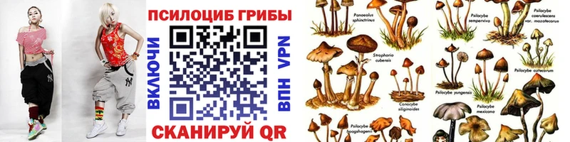 купить закладку Белый Галлюциногенные грибы прущие грибы